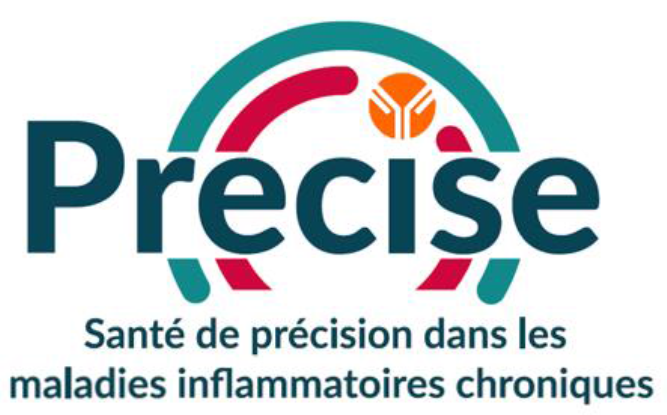 Logo PRECISE