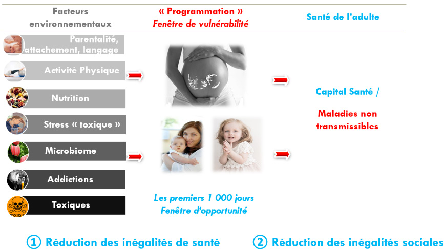 FHU 1000 jours 2