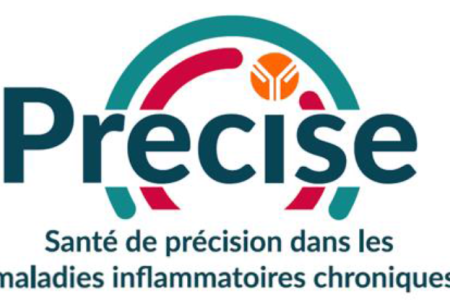 Logo PRECISE